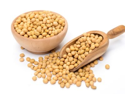 Soybean-seeds